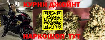прущие крисы Нальчик