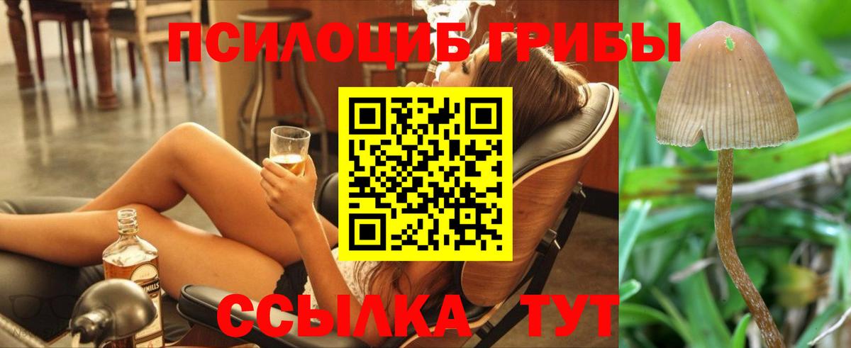 Уссурийск  Галлюциногенные грибы GOLDEN TEACHER  Вход с VPN 